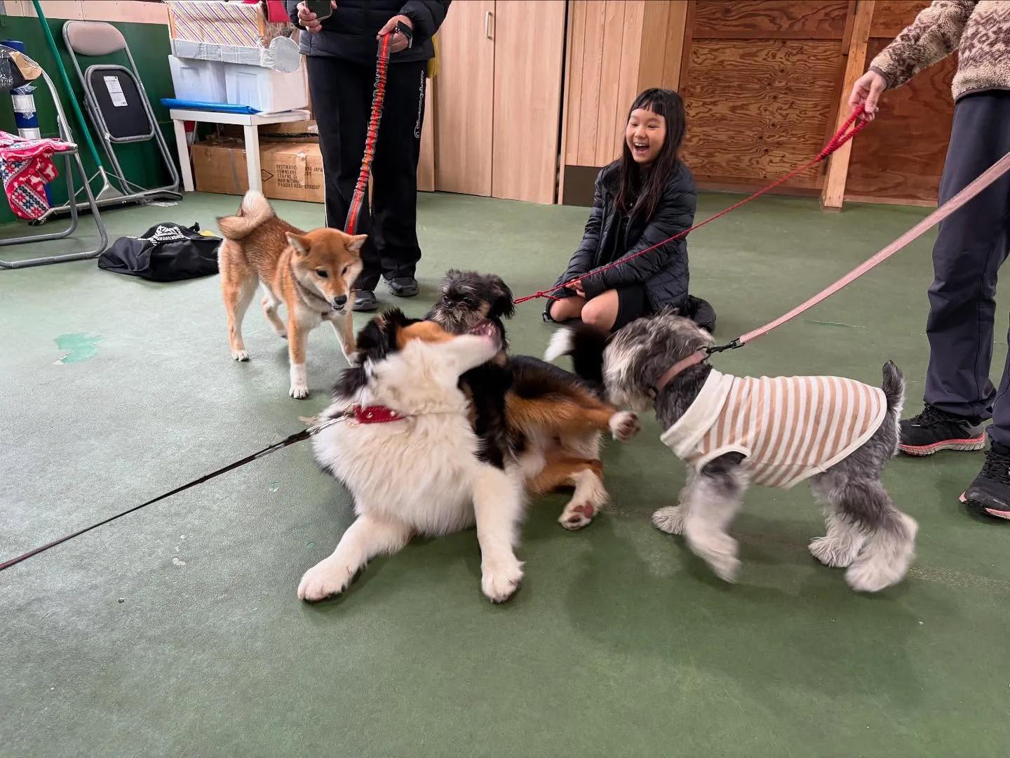 パピースクール