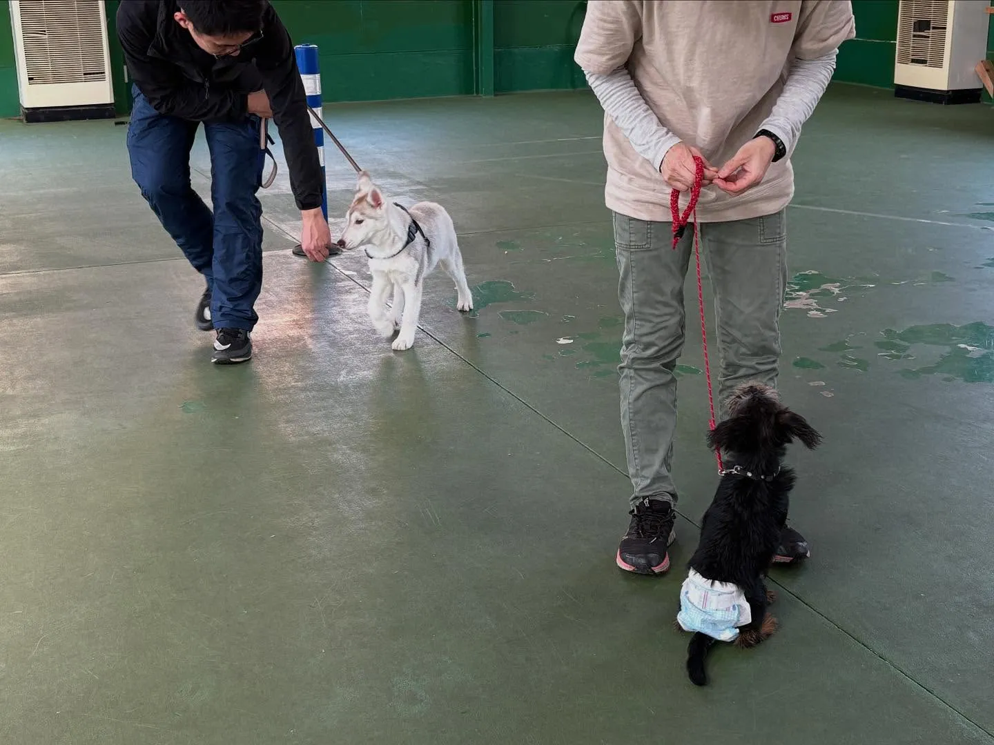 ４月１２日パピースクール