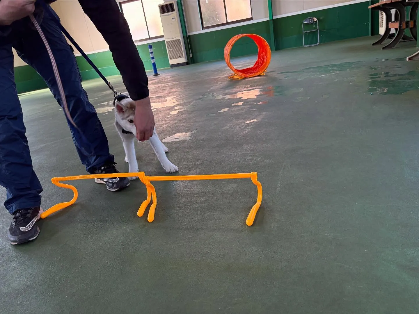 ４月１２日パピースクール