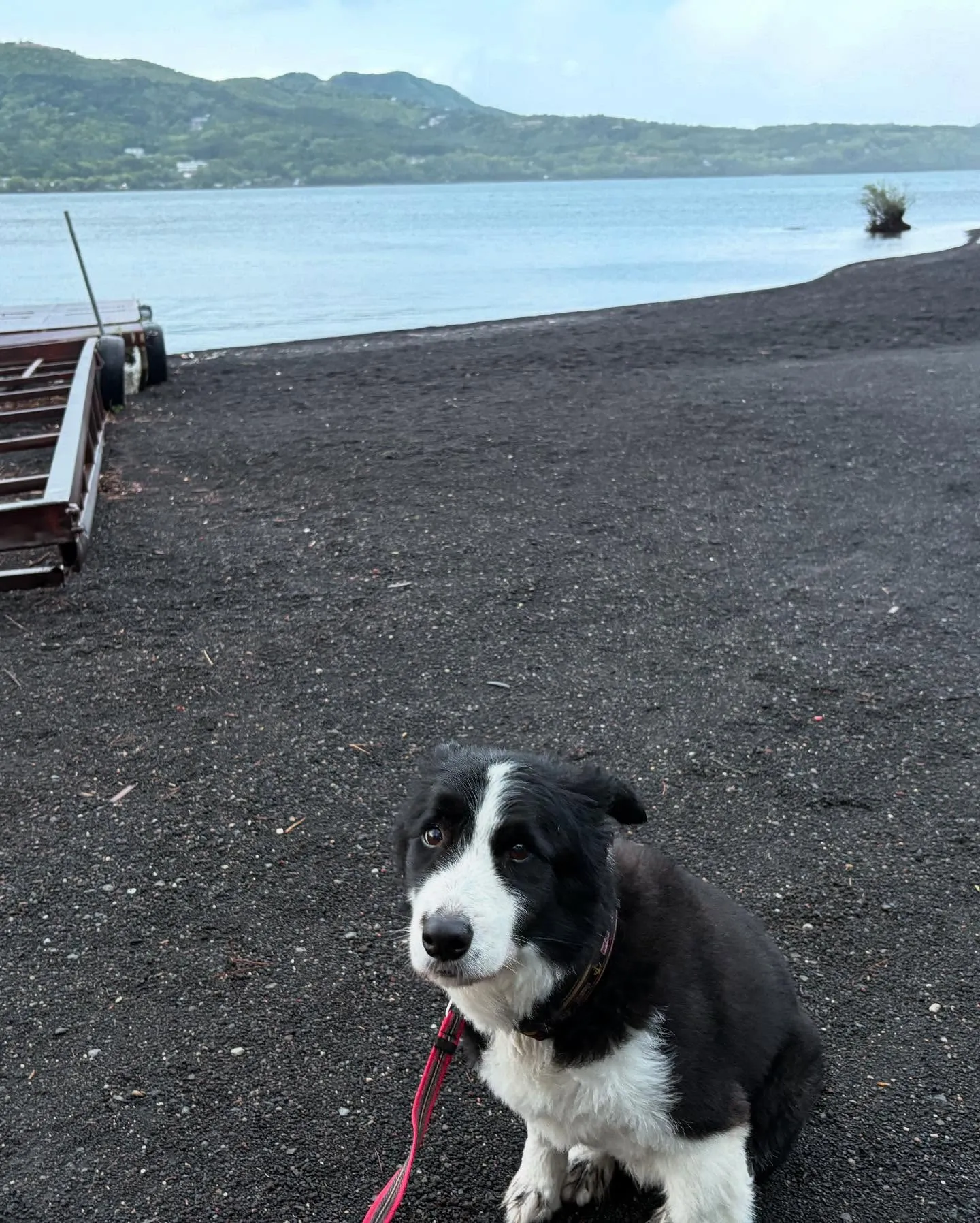 石川トレーナーアジリティ