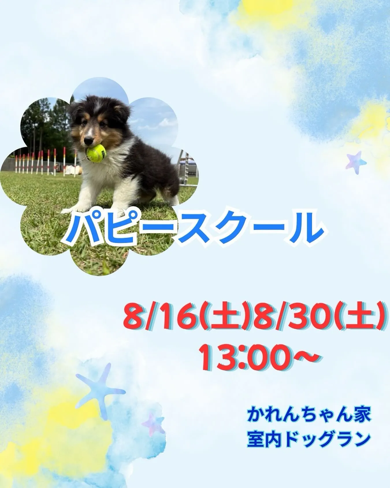 ８月のパピースクール