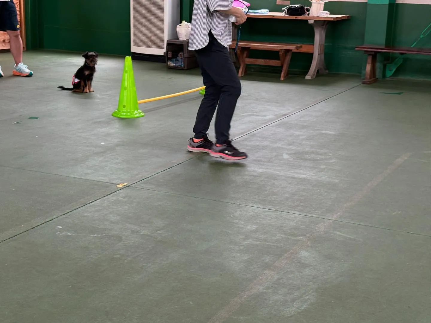 ８月１６日パピースクール