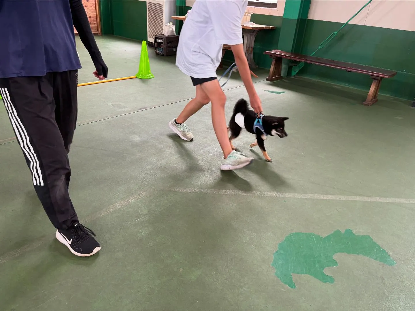 ８月１６日パピースクール