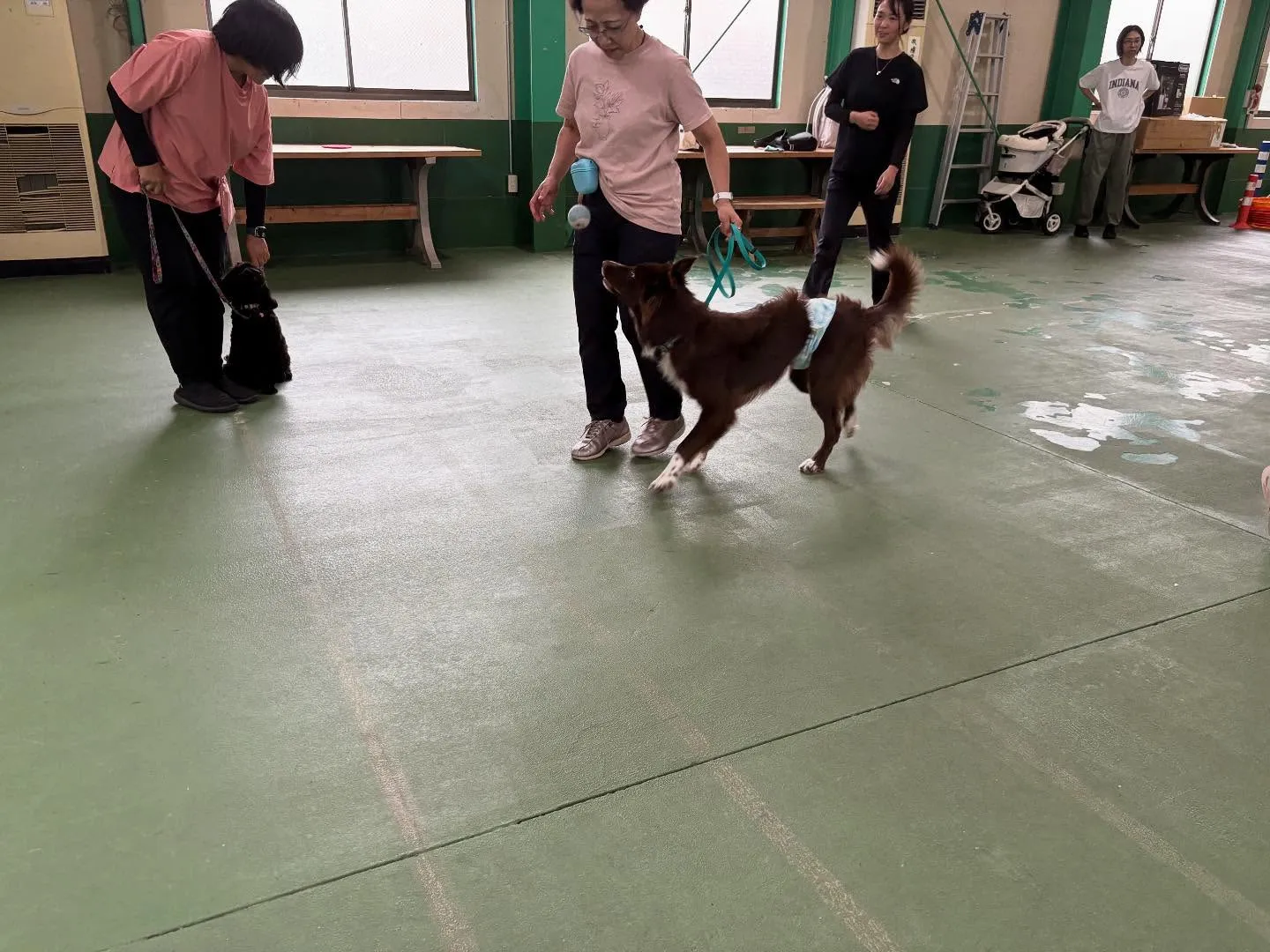 ９月のパピースクール