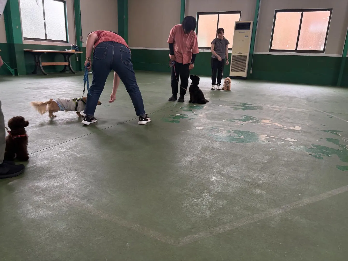 ９月のパピースクール