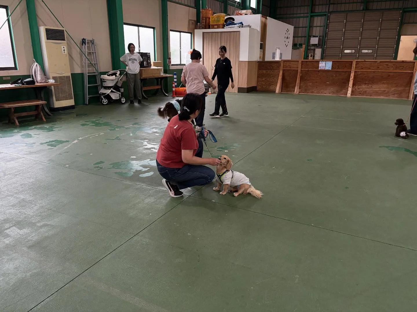 ９月のパピースクール