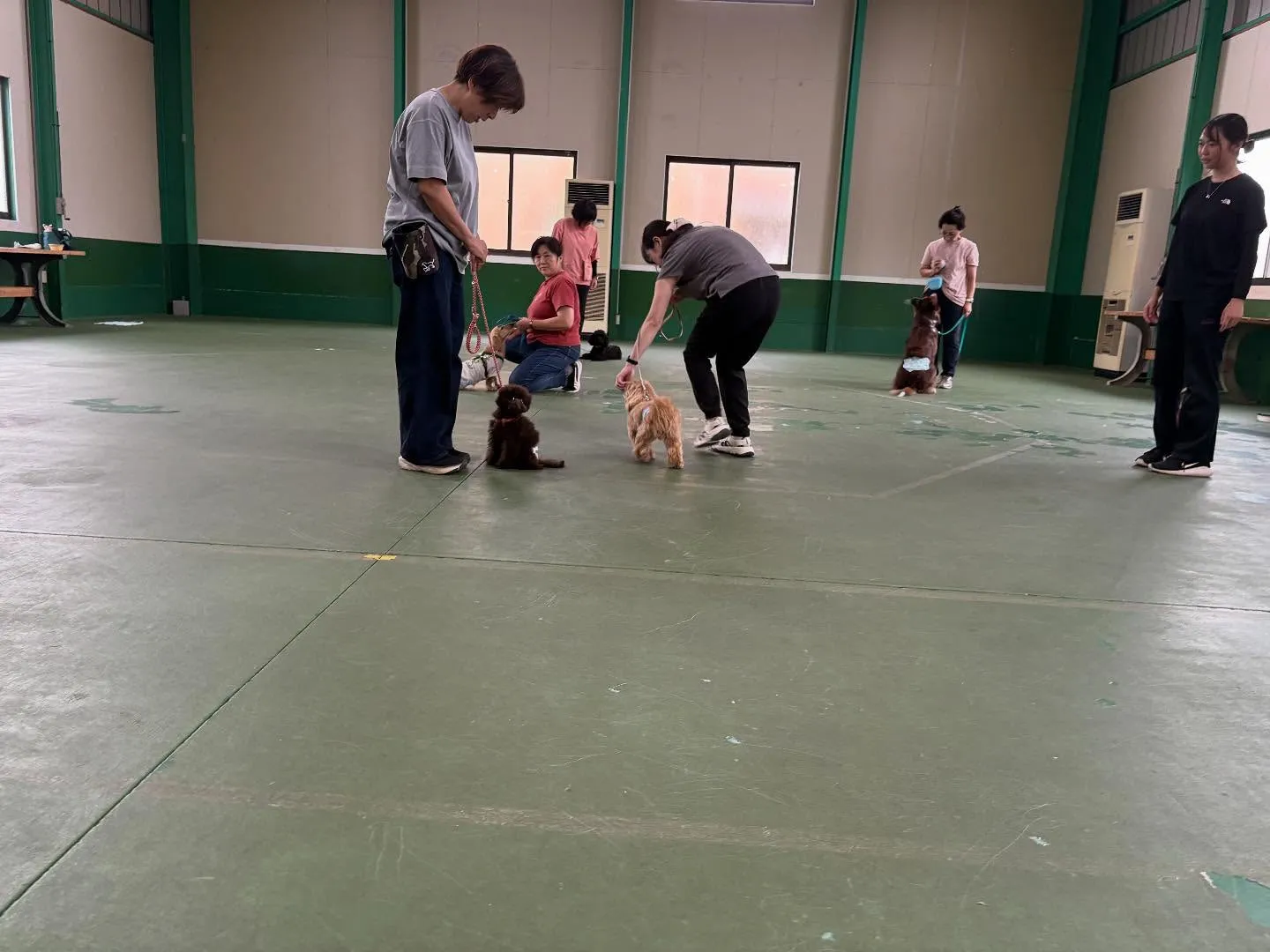 ９月のパピースクール