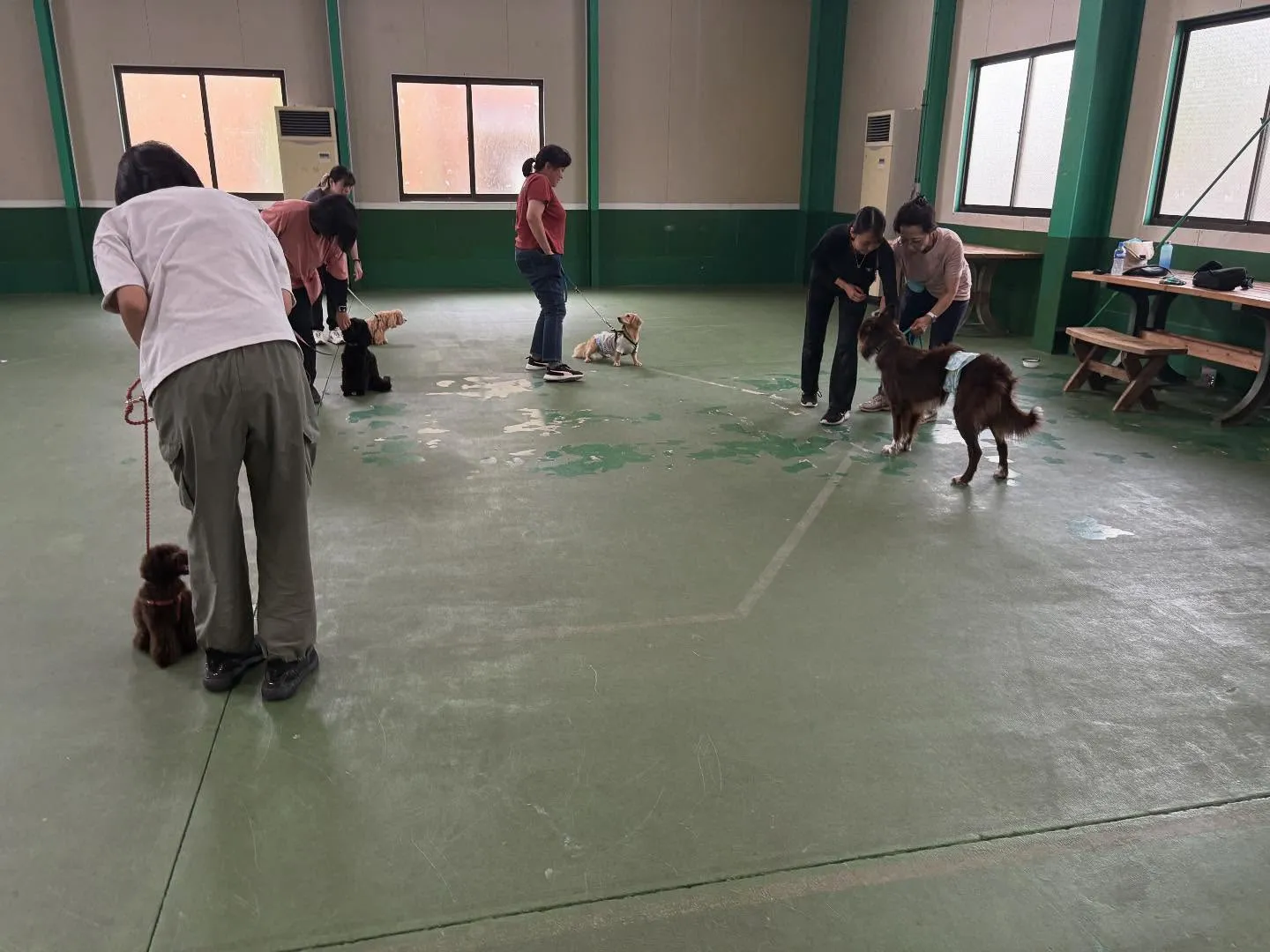 ９月のパピースクール