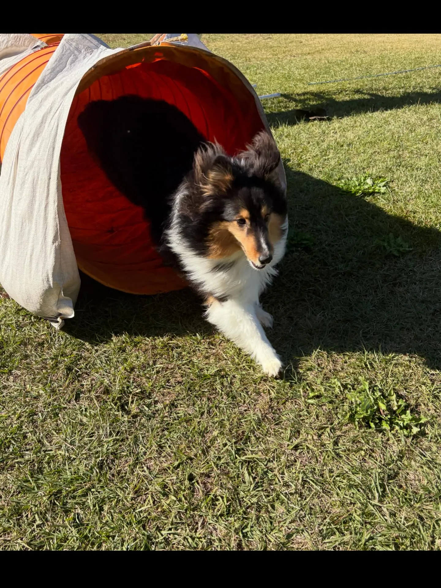 ヴェール新年走行会