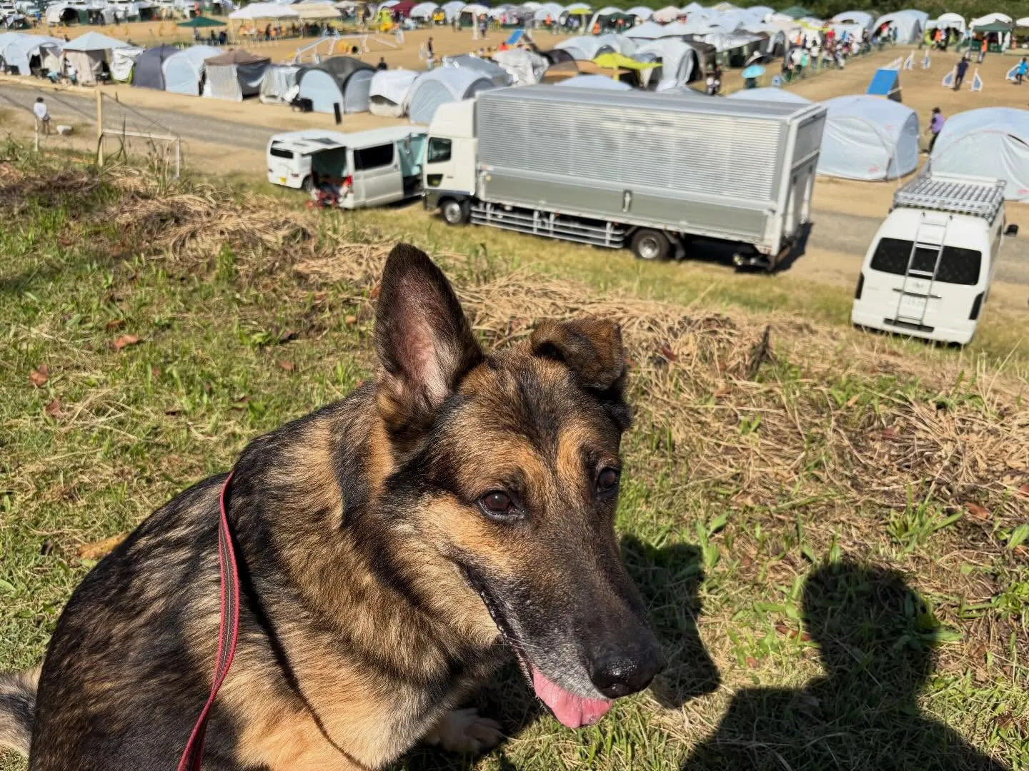 １２月と１月の走行会に申し込み予定の皆様へ