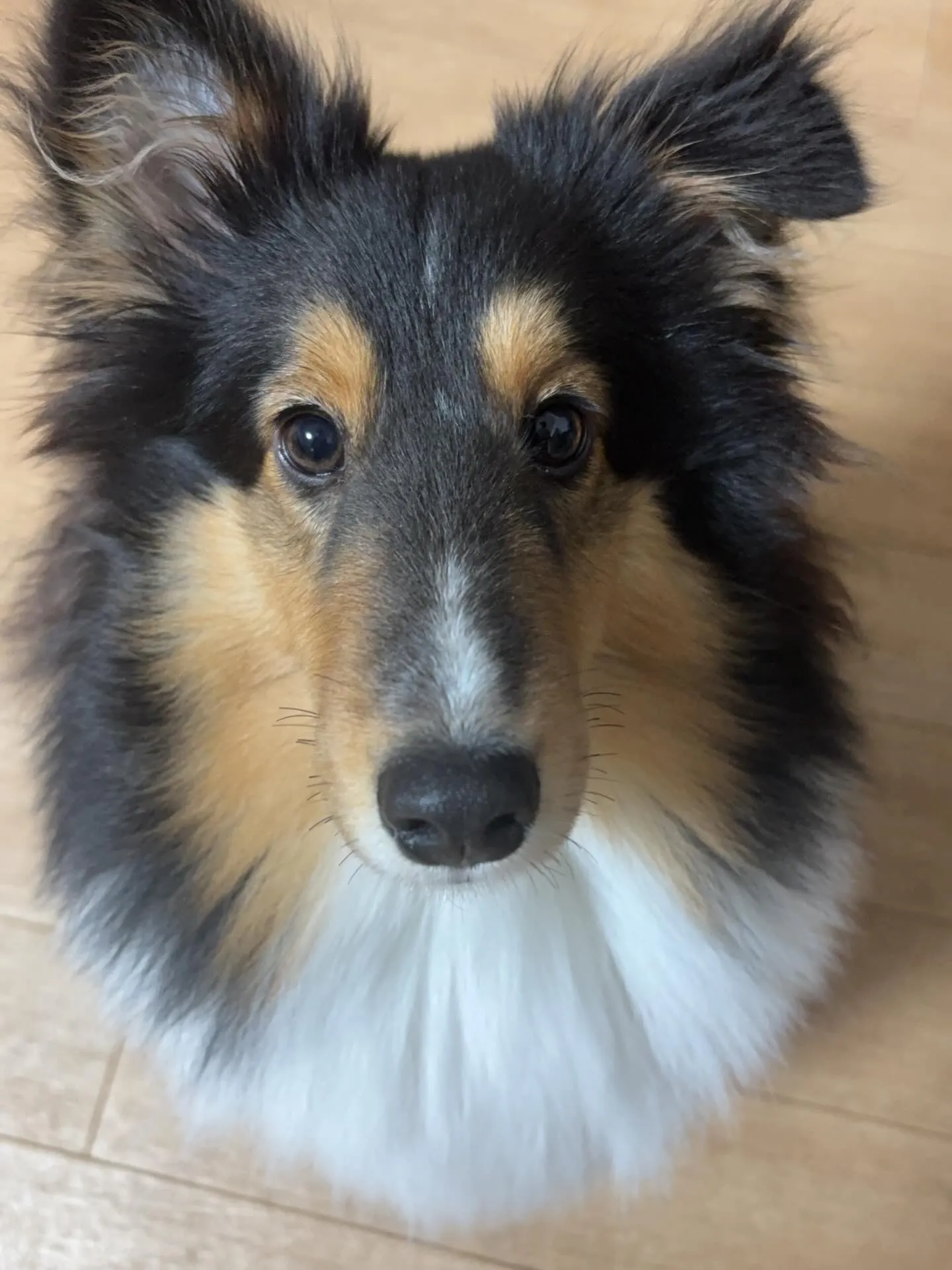 １２月１３日土曜日臨時休業のお知らせ