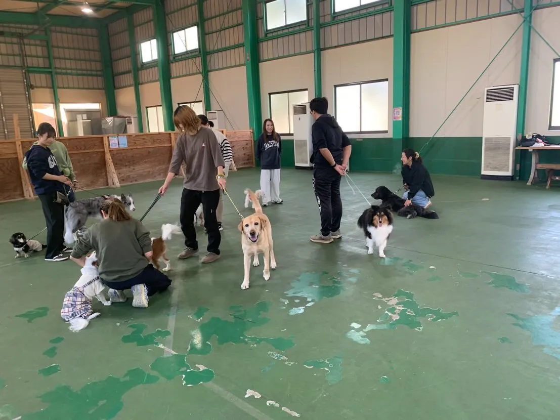 １１月３０日パピースクール