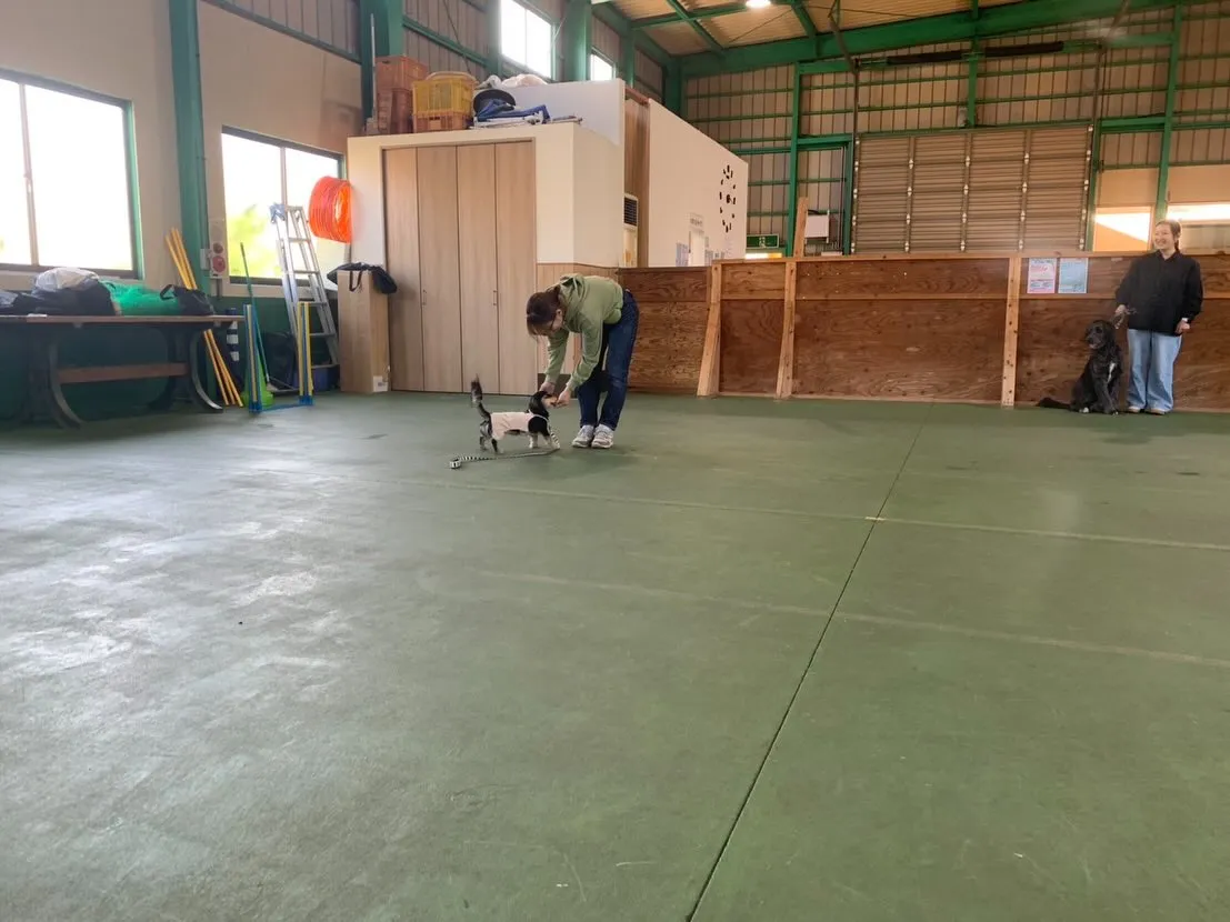 １１月３０日パピースクール