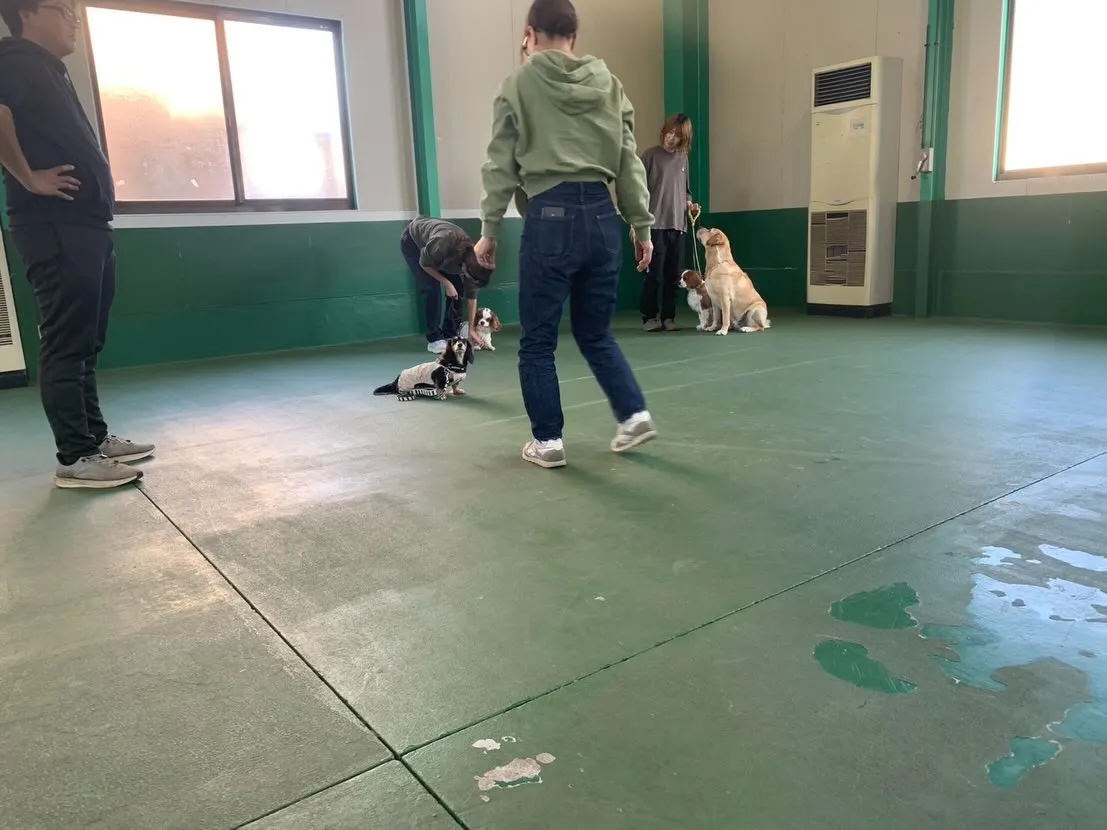 １１月３０日パピースクール