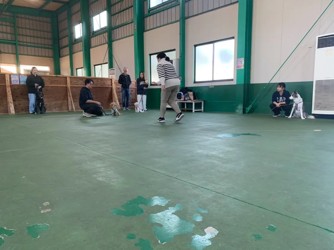 １１月３０日パピースクール