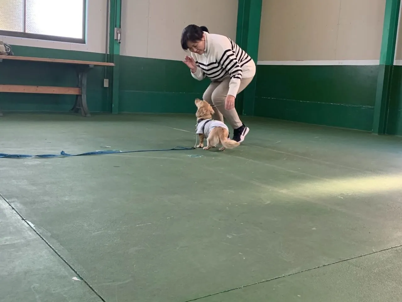 １１月３０日パピースクール