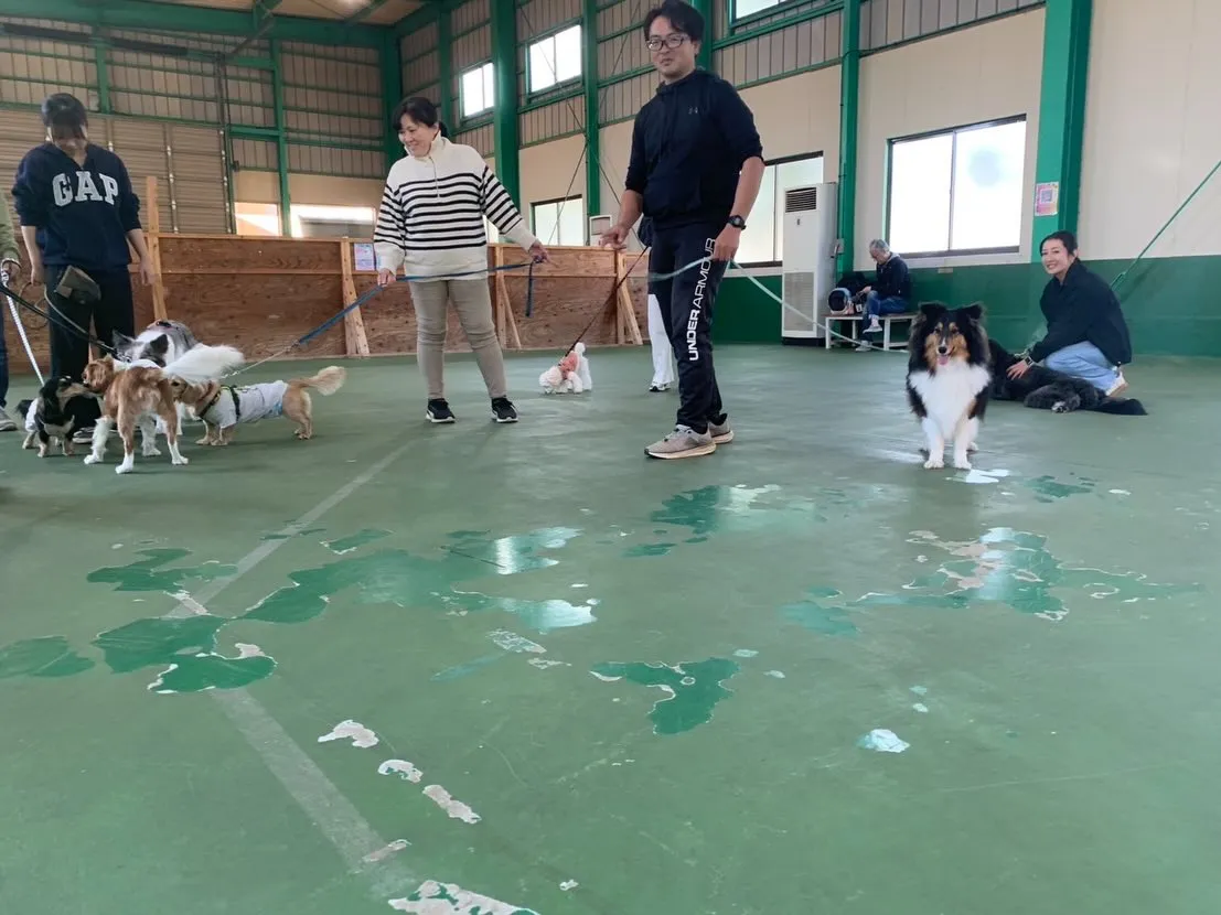 １１月３０日パピースクール