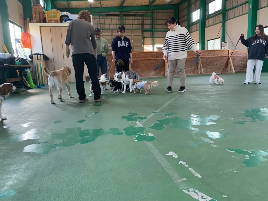 １１月３０日パピースクール