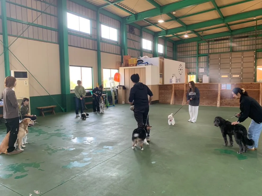 １１月３０日パピースクール