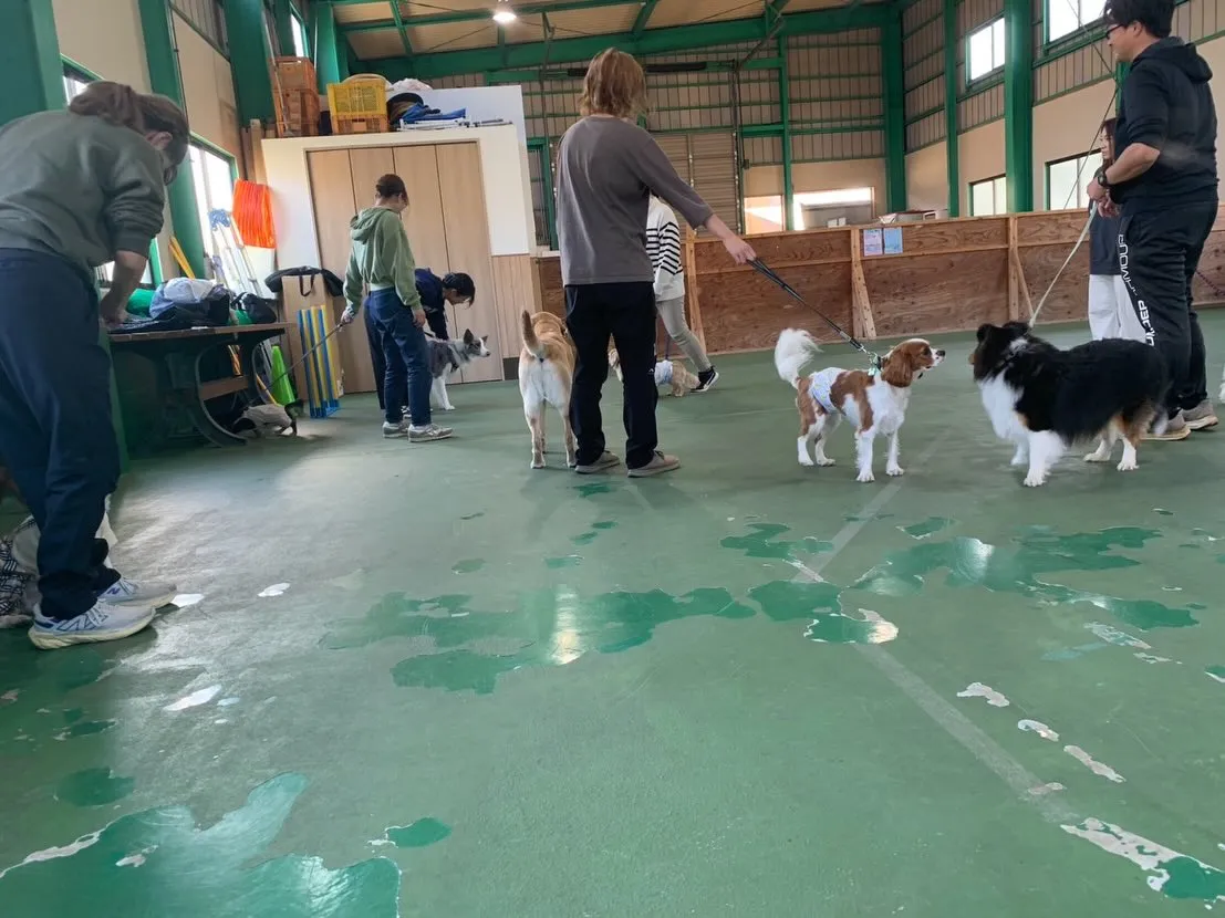 １１月３０日パピースクール