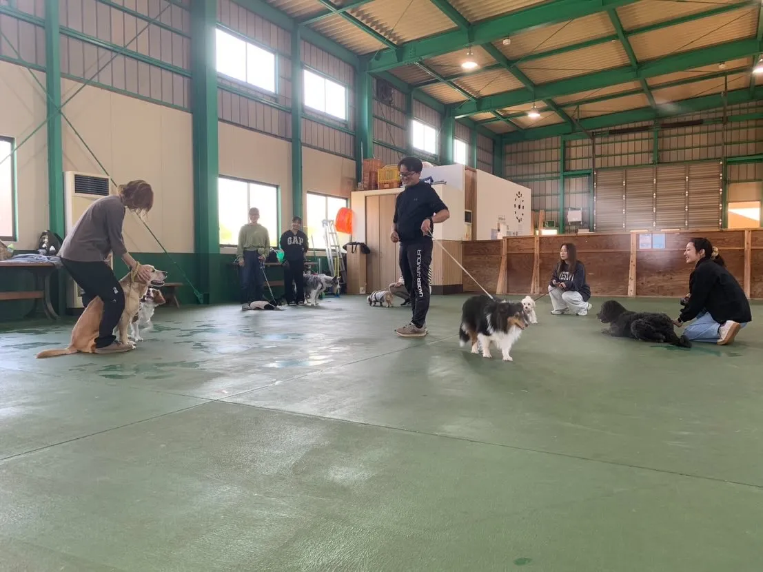 １１月３０日パピースクール