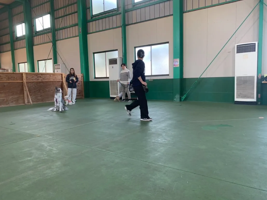 １１月３０日パピースクール