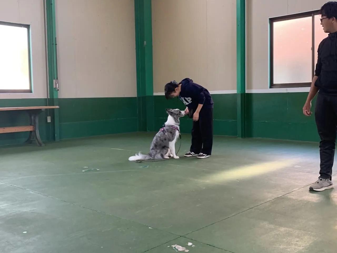 １１月３０日パピースクール