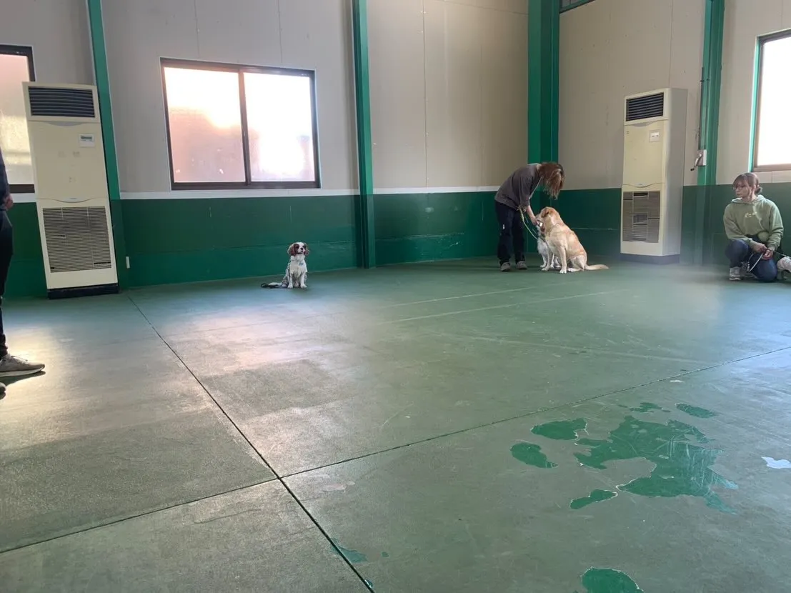 １１月３０日パピースクール