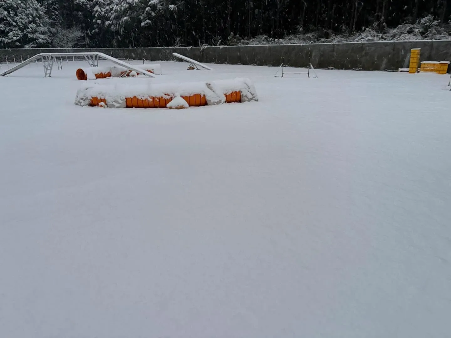 大雪の為本日のお教室はお休みになります