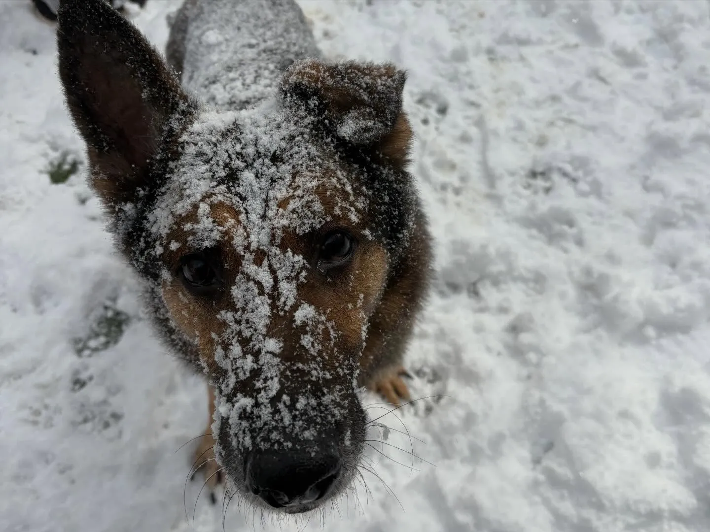 大雪の為本日のお教室はお休みになります