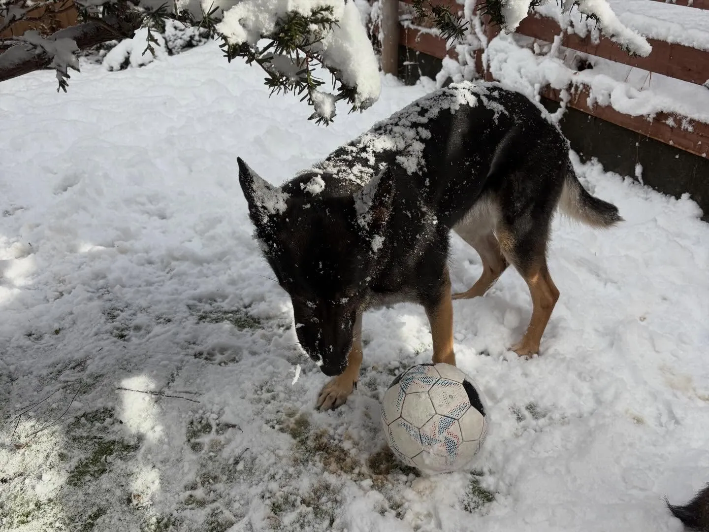 大雪の為本日のお教室はお休みになります