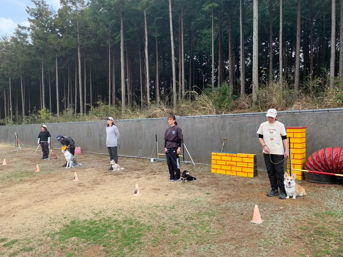 ３月２２日しつけグループレッスン