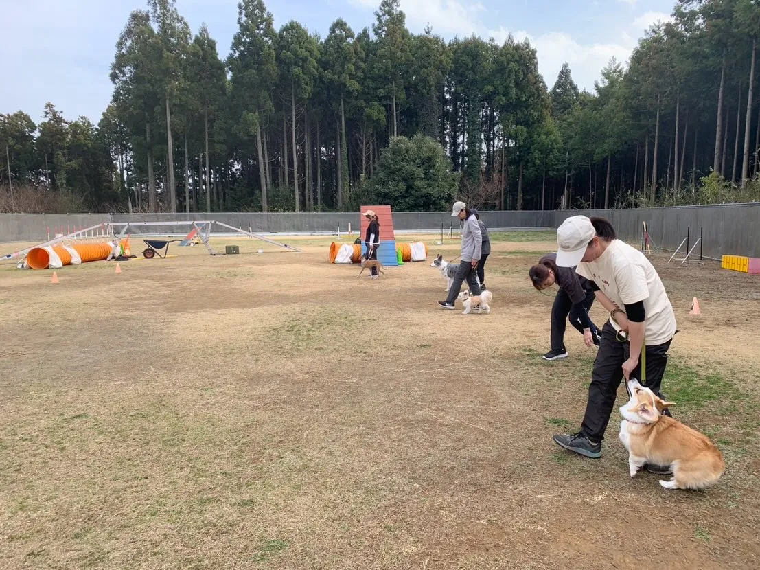 ３月２２日しつけグループレッスン