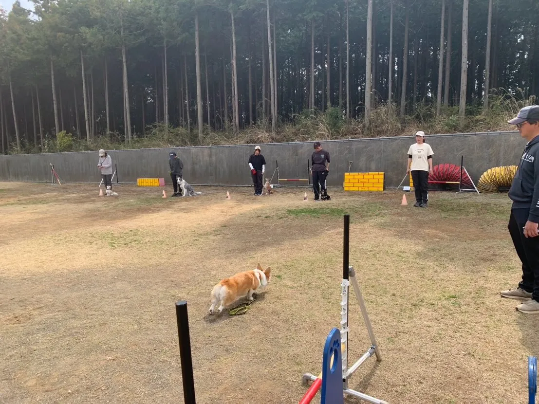 ３月２２日しつけグループレッスン