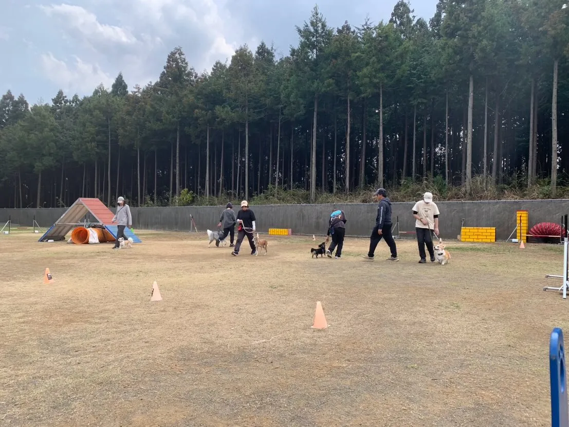 ３月２２日しつけグループレッスン