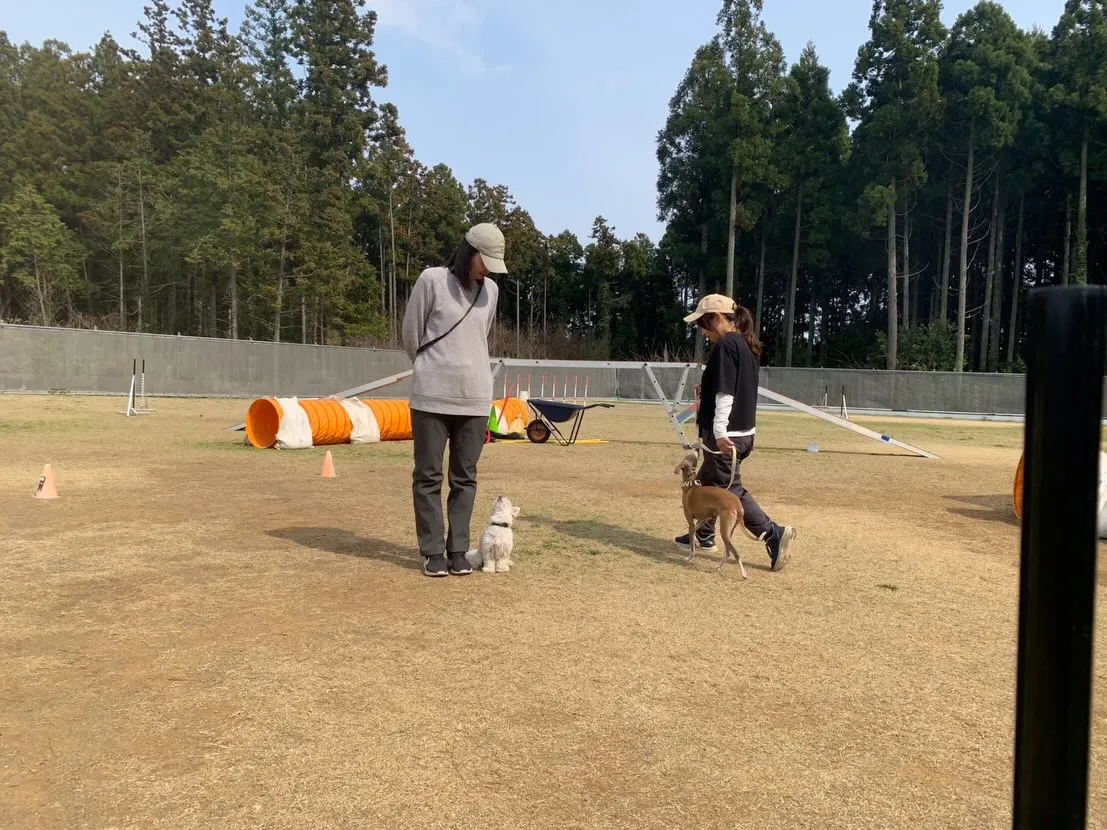 ３月２２日しつけグループレッスン