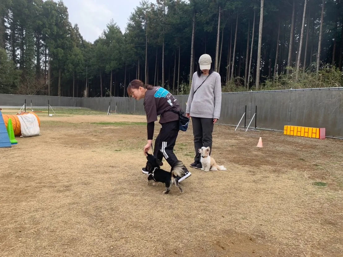 ３月２２日しつけグループレッスン