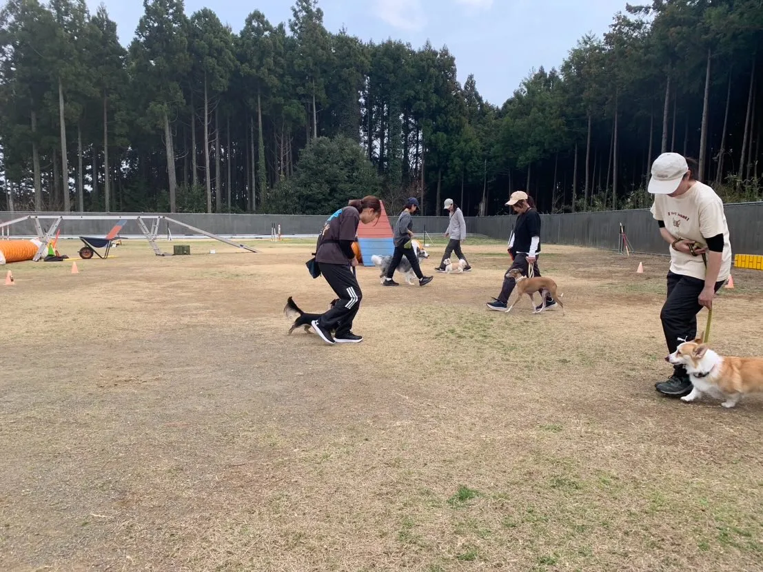 ３月２２日しつけグループレッスン