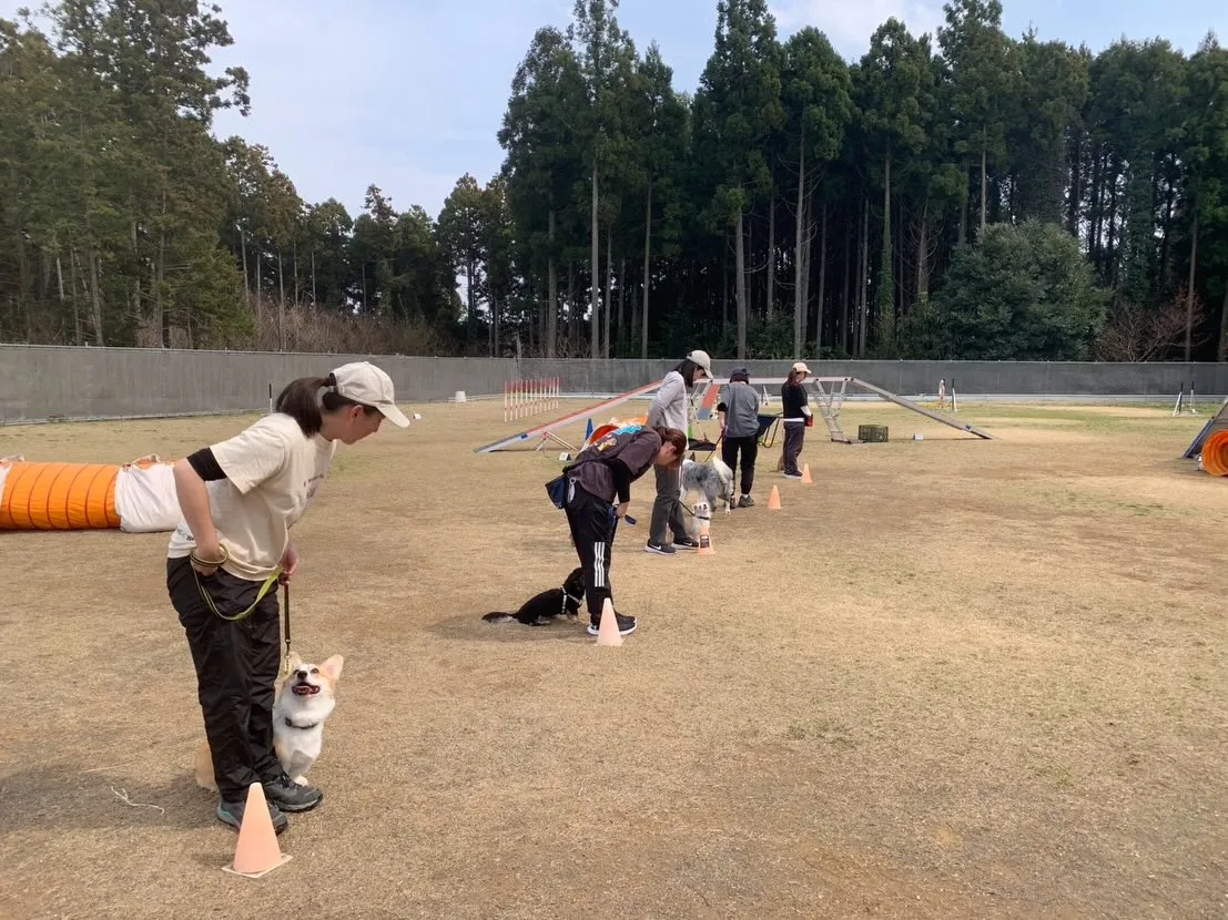 ３月２２日しつけグループレッスン