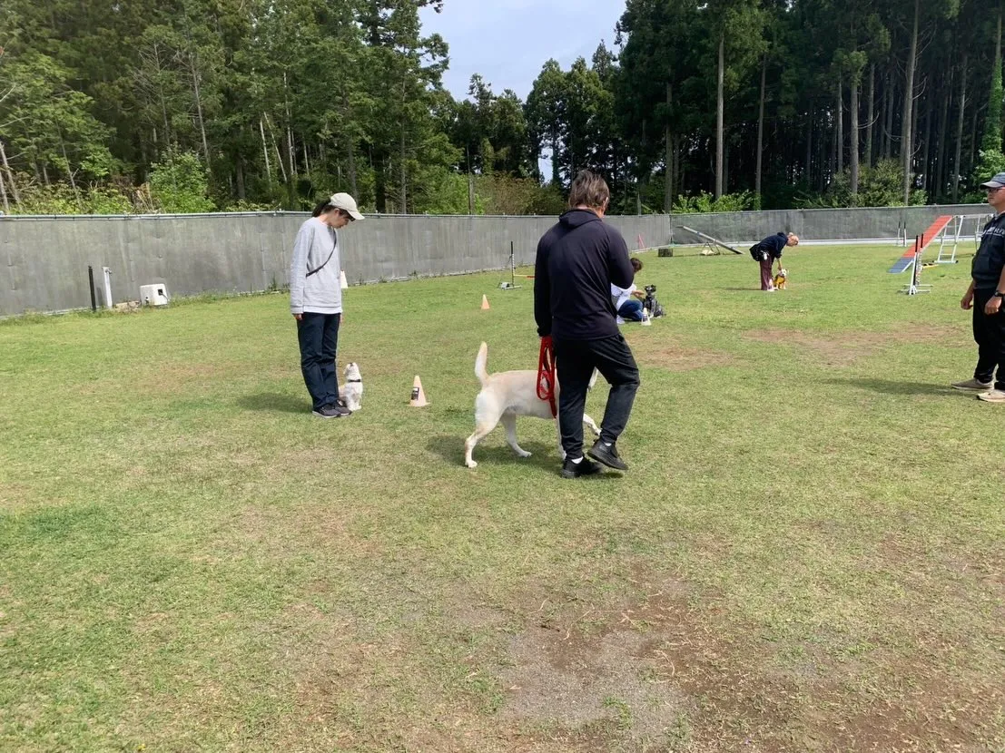 ４月１８日しつけグループレッスン