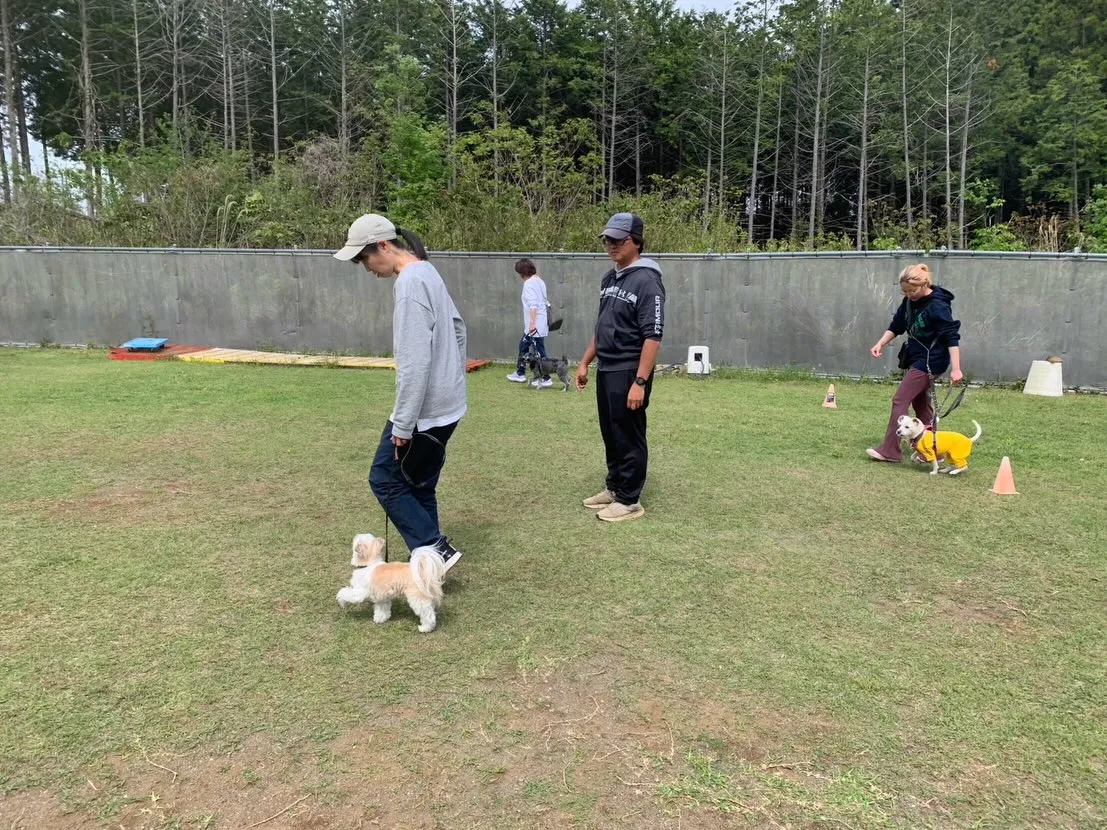 ４月１８日しつけグループレッスン