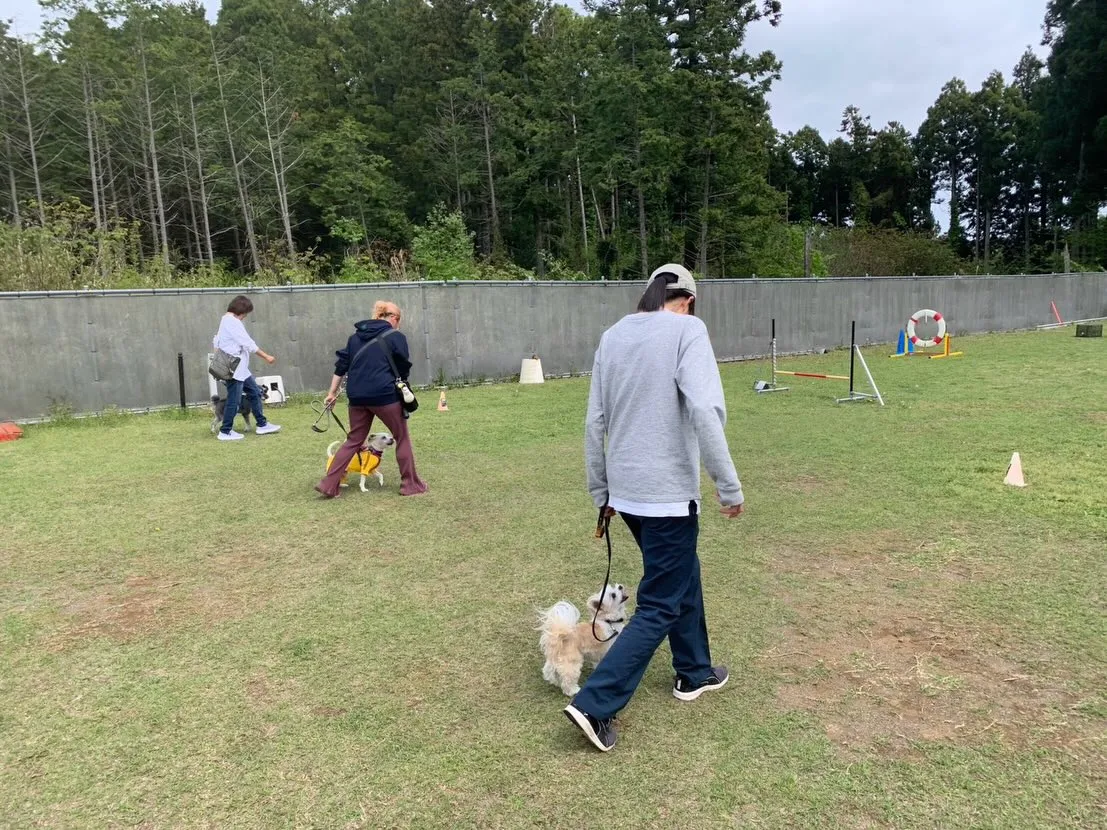 ４月１８日しつけグループレッスン