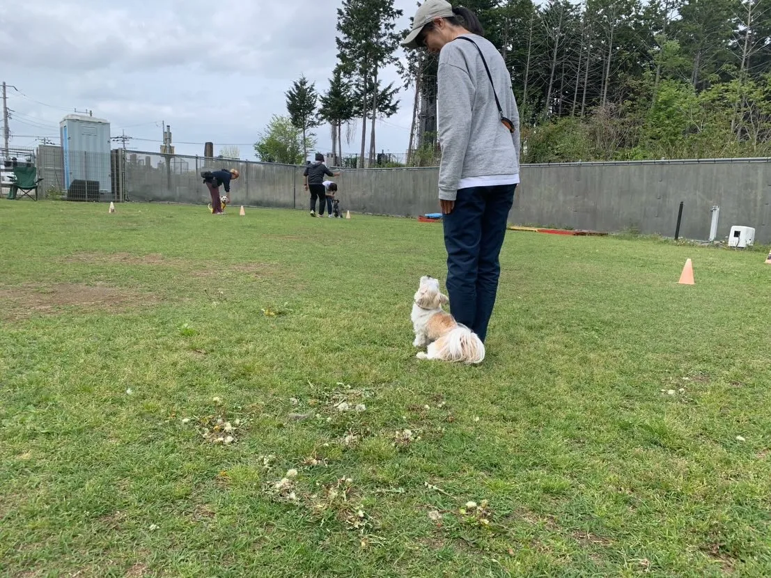 ４月１８日しつけグループレッスン