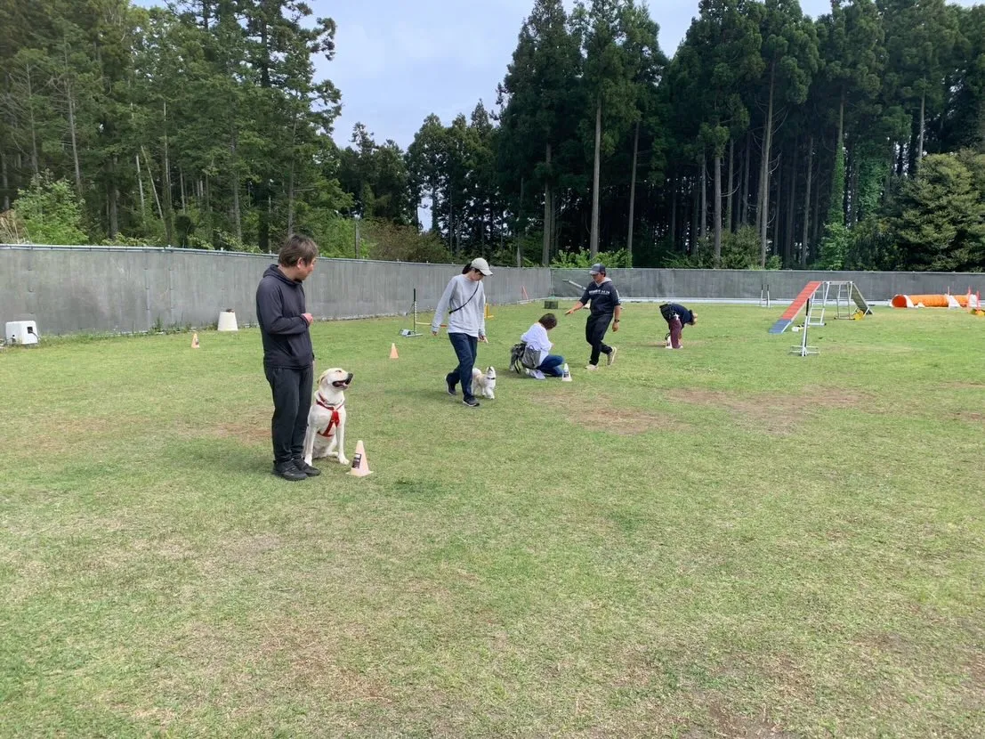 ４月１８日しつけグループレッスン