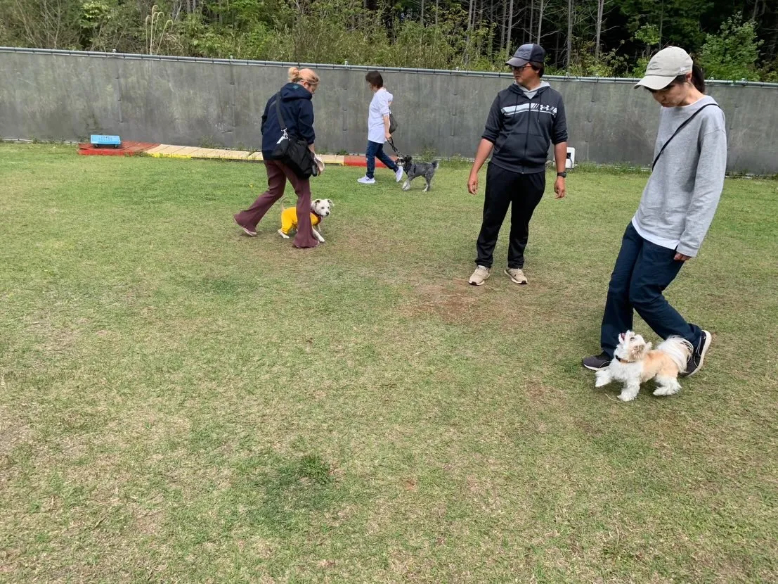 ４月１８日しつけグループレッスン