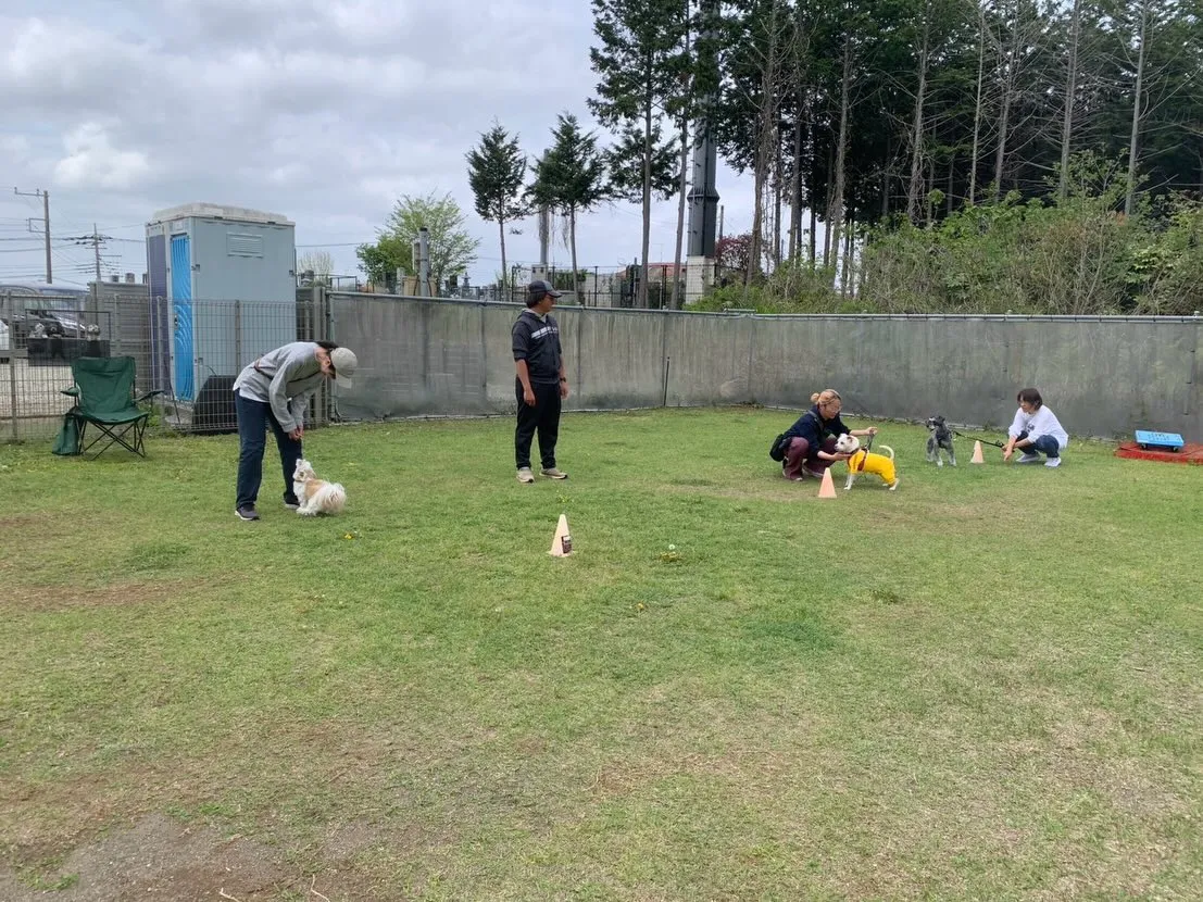 ４月１８日しつけグループレッスン