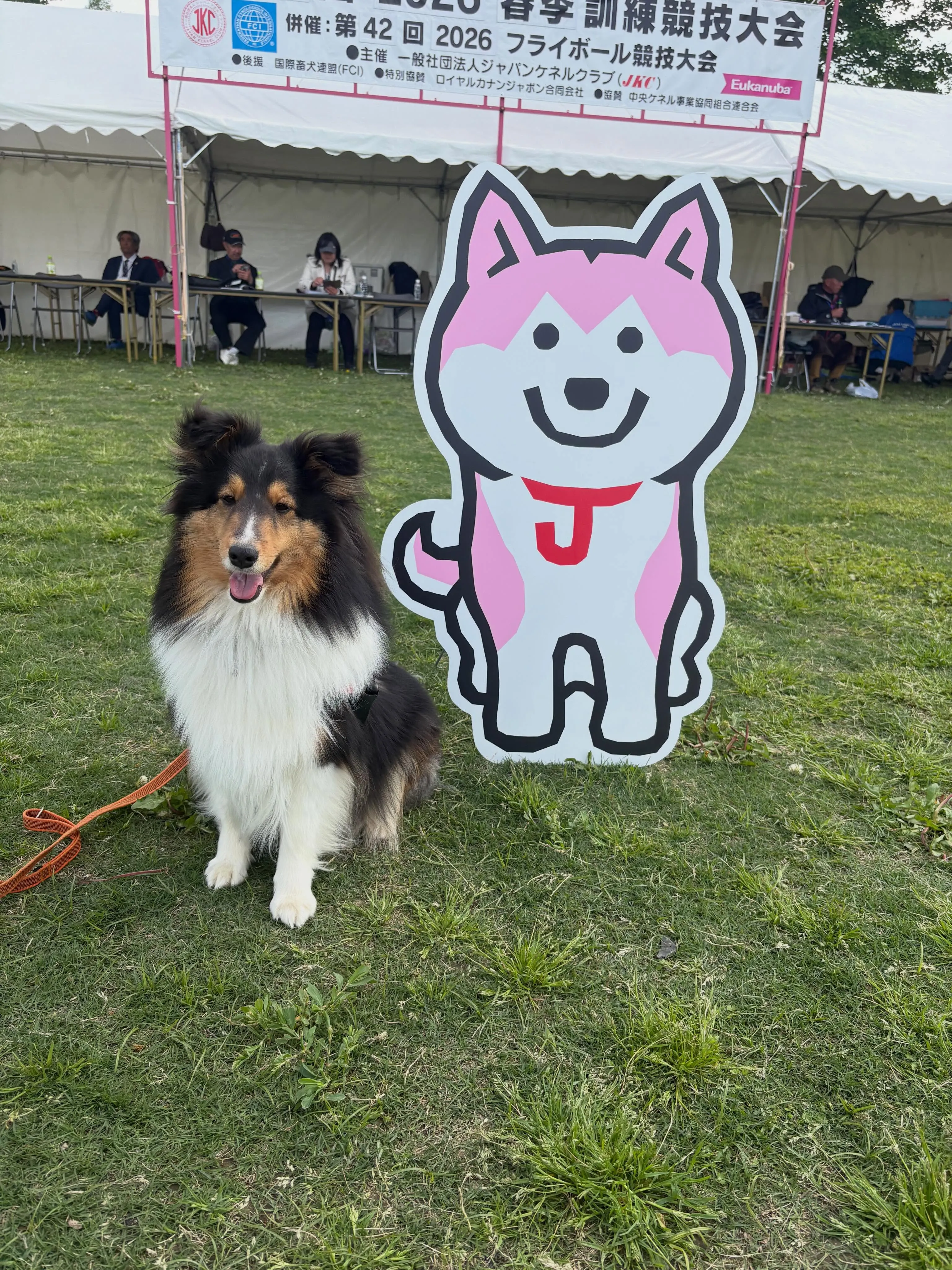 6月の予定