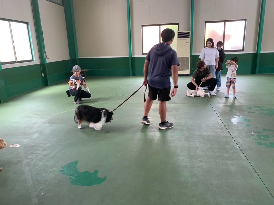 ５月３１日パピースクール