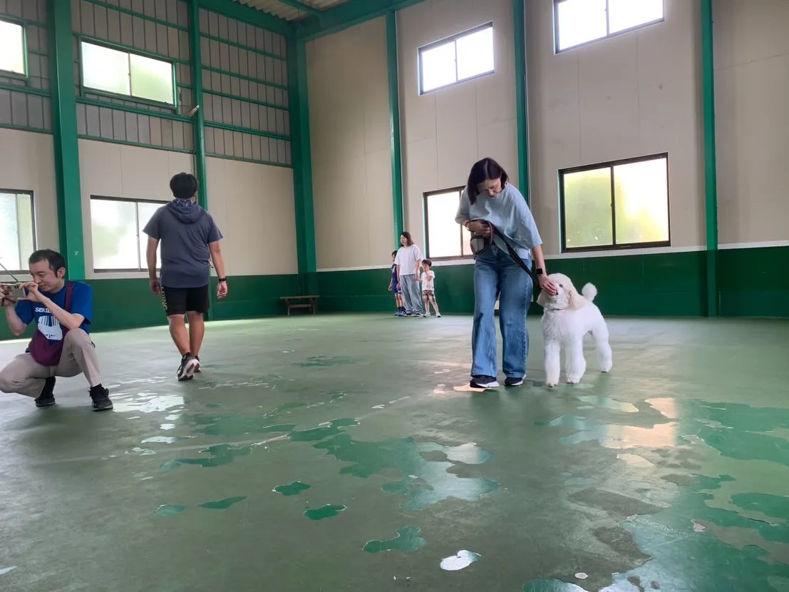５月３１日パピースクール