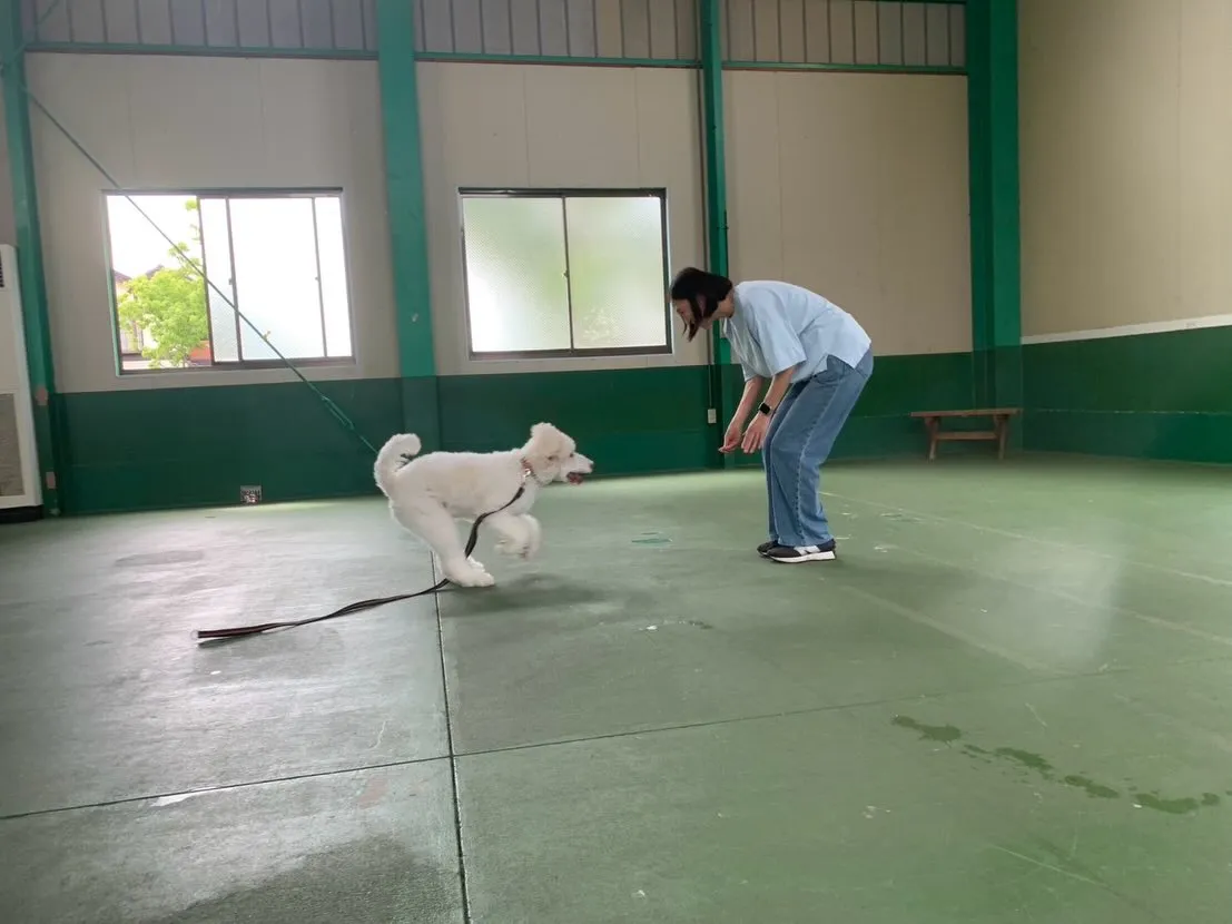 ５月３１日パピースクール